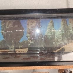 Pecera,    Fish Tank