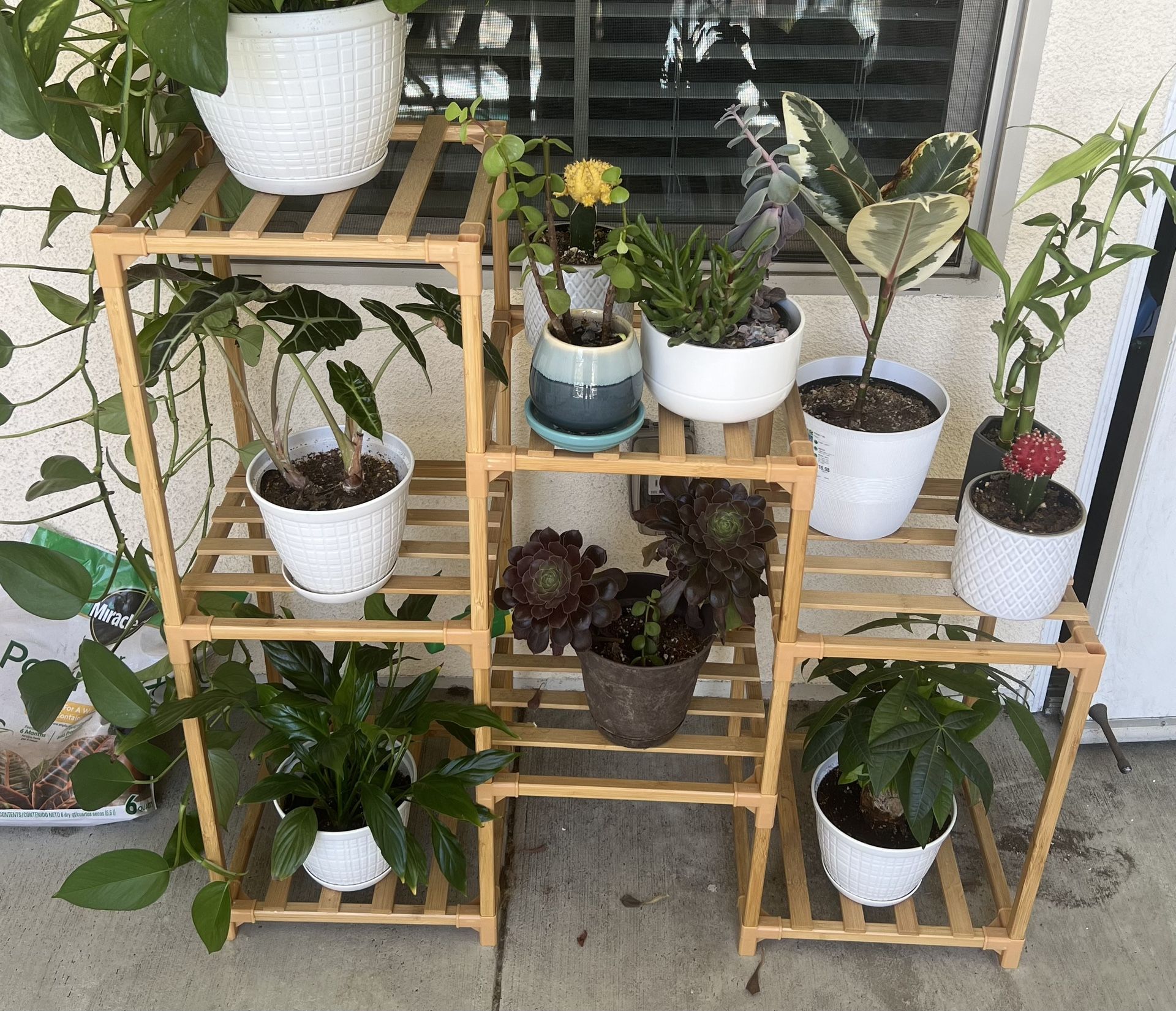 Plant Stand/shelves