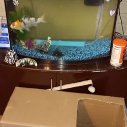 35 gallon fish tank