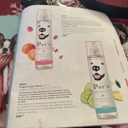 Shampoo  Fragrance Huelen Rico 
