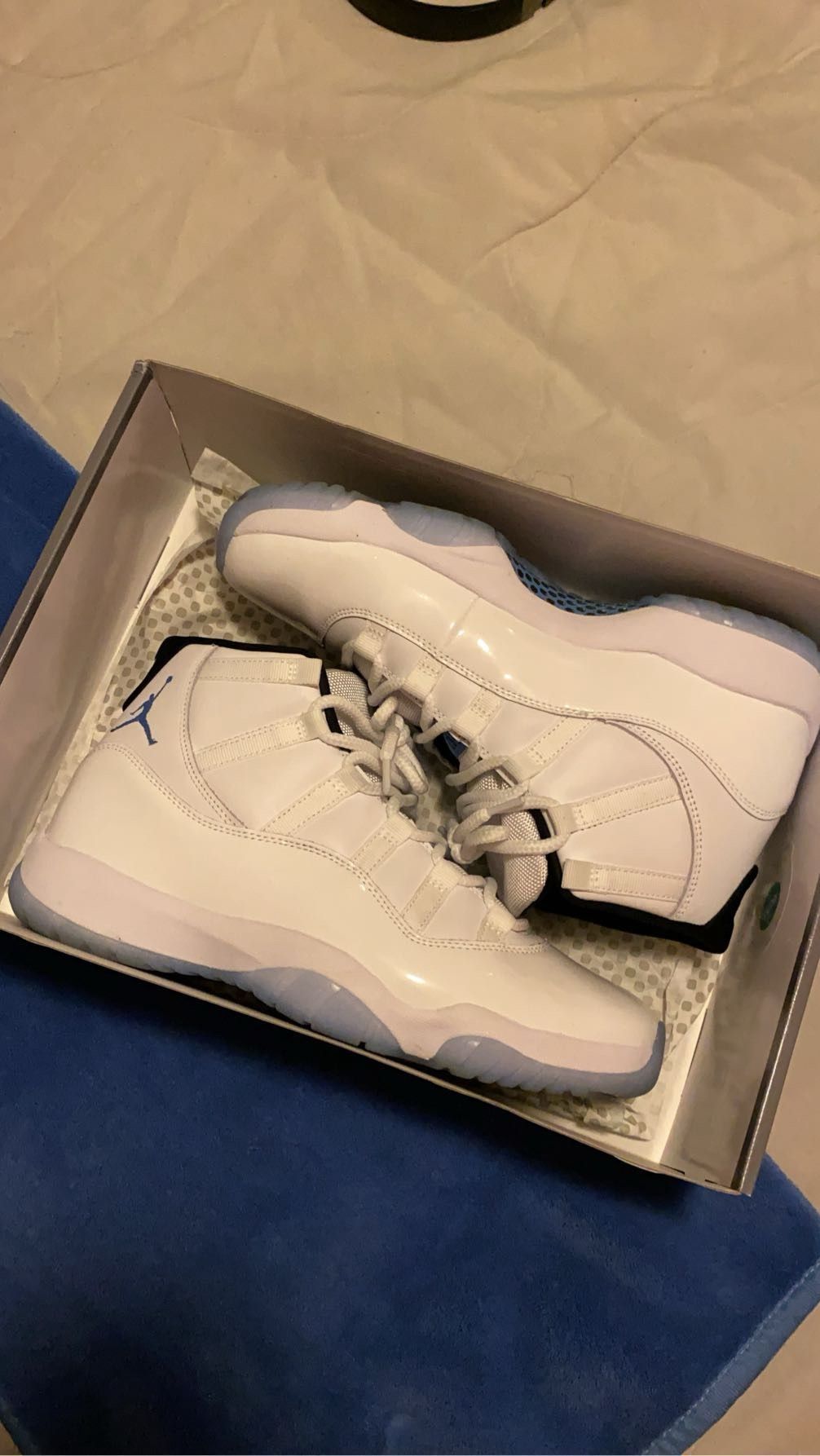 jordan 11 sz 10