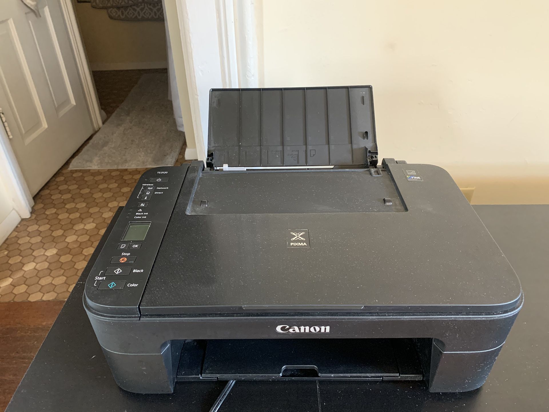 Canon PIXMA TS3120 Printer