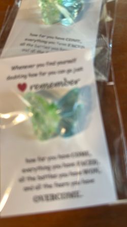Pocket  hug half green half blue