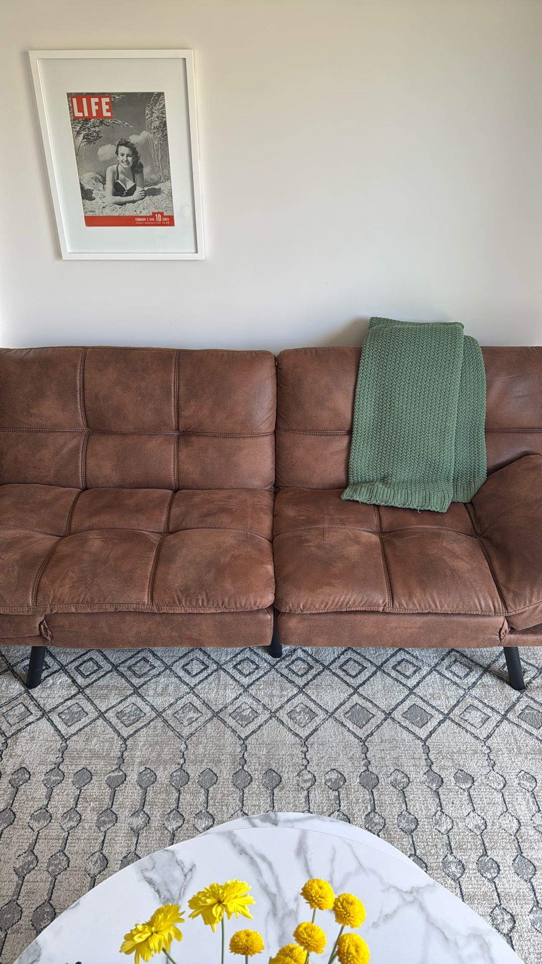 Set Of Two Leather Sofa Beds