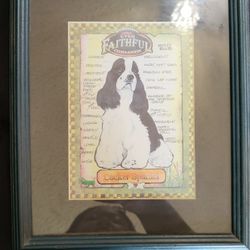 Picture If Black And Whit Cocker Spaniel 