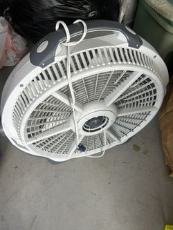 Big Fan