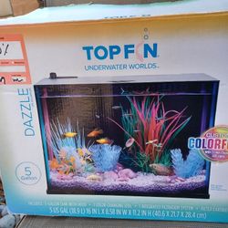 Top Fin Aquariam