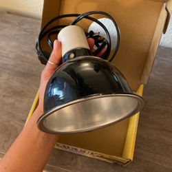 Reptile Clamp Lamp