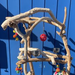 Macaw Perch Tree …, Curvy N Funky✅ Custom And A Great Socializer !!