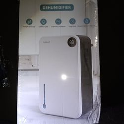 Amzart Dehumidifier 