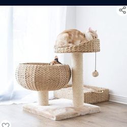 Brand New Cat Tree