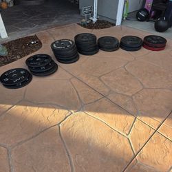 🏋️‍♂️ Bumper Plate Set – 582 lbs Total 