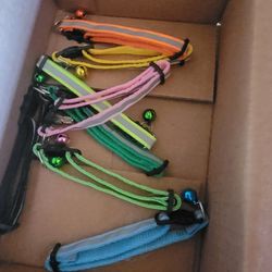New Cat Collars 