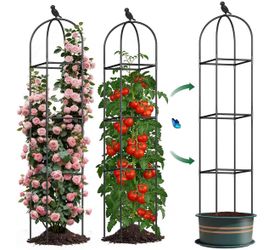 Square Tomato Cages for Garden, 6.2 FT Cucumber Trellis for Flowers, Grape, Pea, Rose, Bean, Rustproof Plastic Coated Metal Plant Support for Potted P