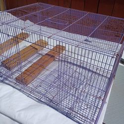 Cage For Bird 🕊️