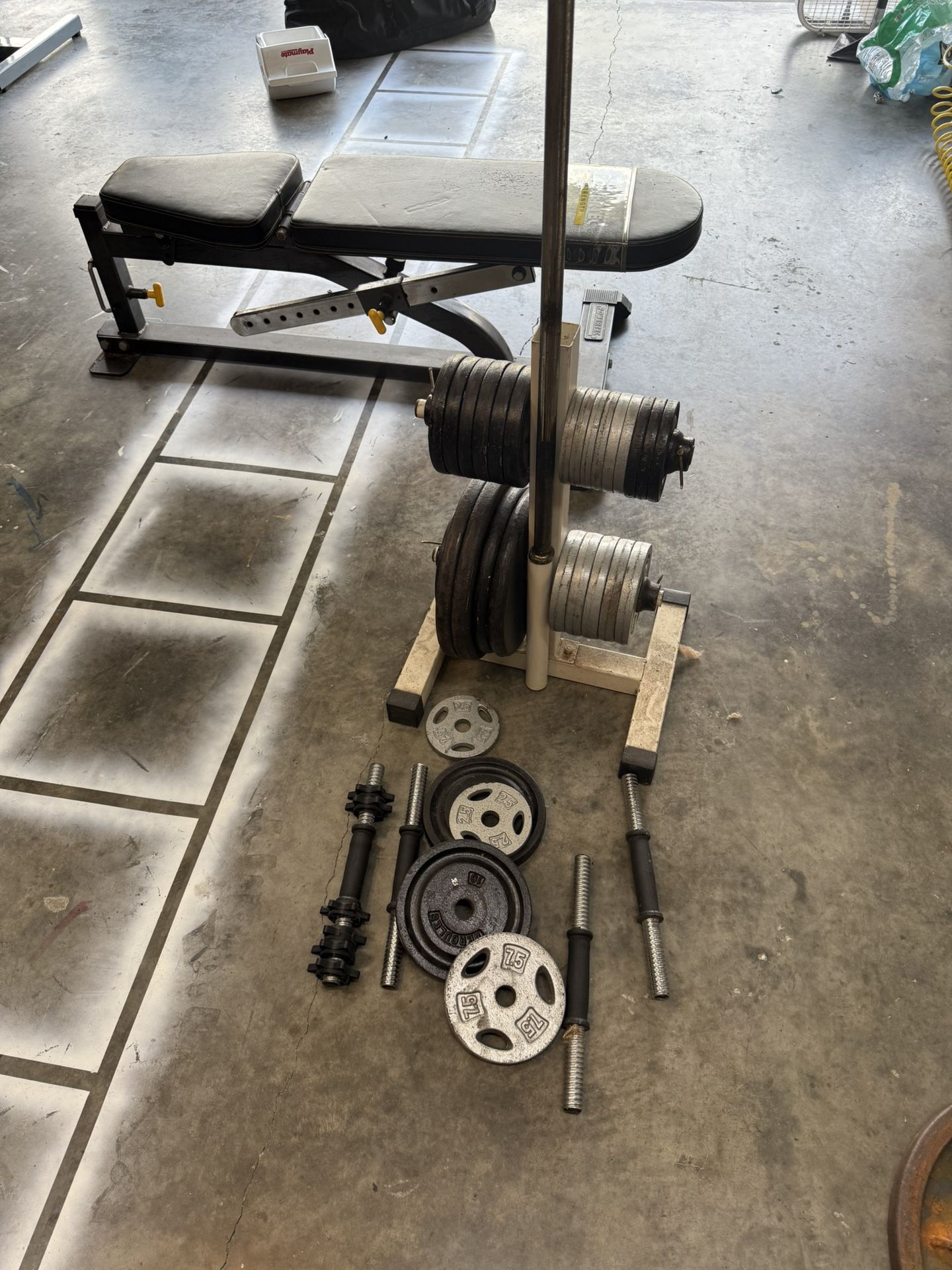Weight Bench, Curl Bar, Weights And Rack
