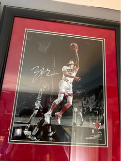 Lonzo Ball bulls autographed flat