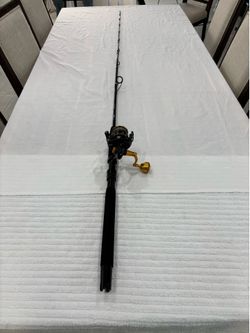 Penn slammer lll 4500 on New Palmetto 7’0” 17-40lb Rod