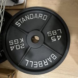  2x Olympic cast iron weight plate set 45lb. Pair