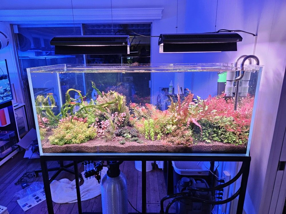 Waterbox Clear 4820 and Custom Steel Stand