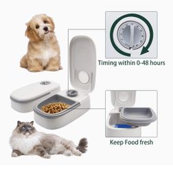 Platos Para Perros Or Gatos 