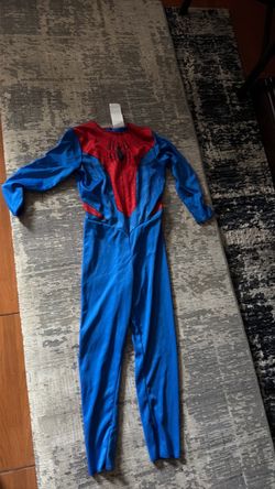 Spider-man  costume