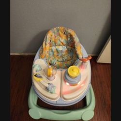 Baby Walker