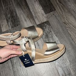 Sperry wedges