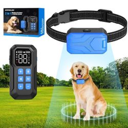 Dog Collar 