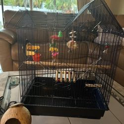 Nice Bird Cage W/Toys/Supplies Included 