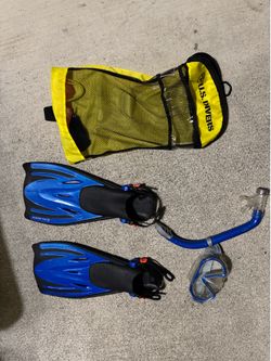 U.S. youth Divers set
