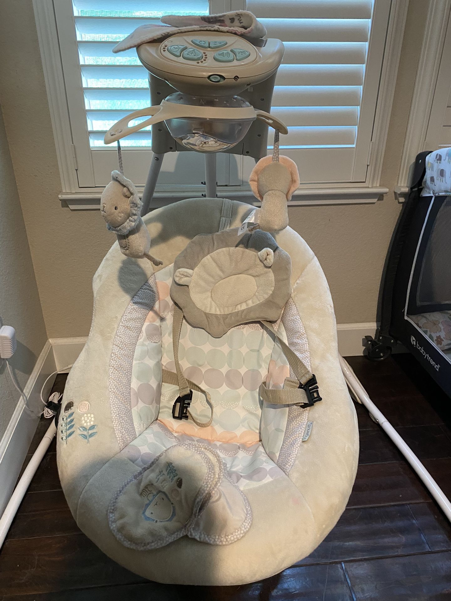 Ingenuity Baby Swing