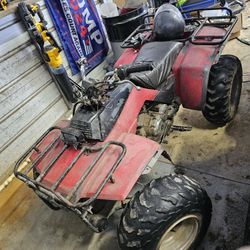 1987 Honda Trx250 Fourtrax 