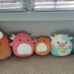Squishmallows 