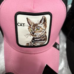 CAT HAS (Animals) Brand New 