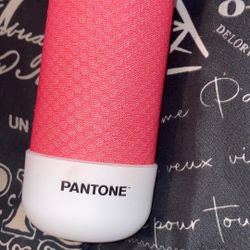 Pantone Wireless Speaker.