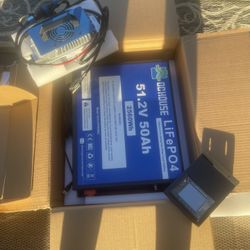 48v DC House Lithium Battery With Charger 