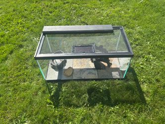 Reptile habitat