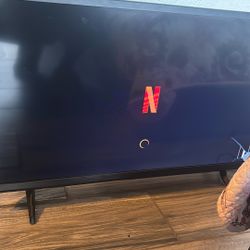Vizio TV $30