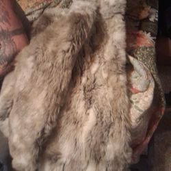 Mink Coat Mint Condition  Spent Summers In A Controled Invirment  