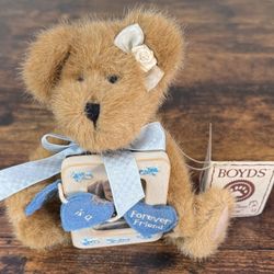 NEW w TAG BOYDS BEARS Carol N. Hugs Bear w Photo Frame Sister Gift just $5
