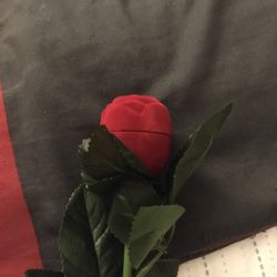 Red Rose Flower Ring Case 