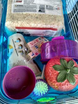Hamster Start Up Set