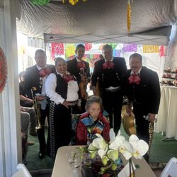 Vihuela Y Violin De mariachi 