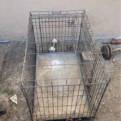 Dog Crate 