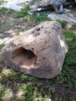 Natural Driftwood Tunnel For Aquariums Terrariums