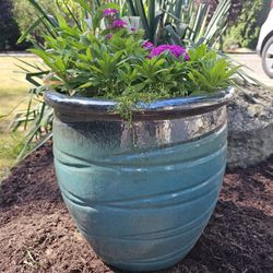 Flower Pot