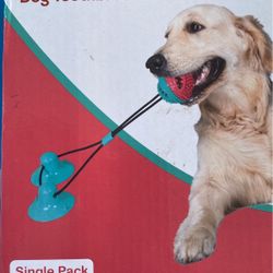 Pet Squeaky Toy And Dog Toothbrush 