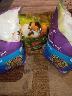 Good Shape Two Big Bag Guinea Pig Food And One Small Guinea Pig Food