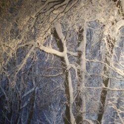 NEW HUGE WALL TAPESTRY HANGING